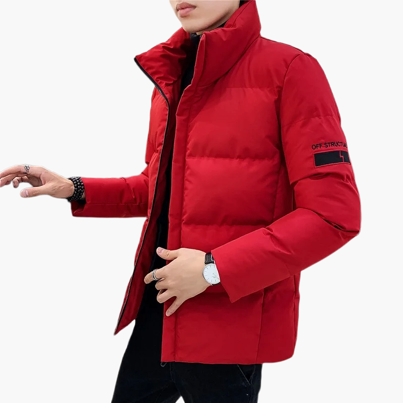 Herren Winter Steppjacke – Modischer Casual Look für Alltag und Freizeit