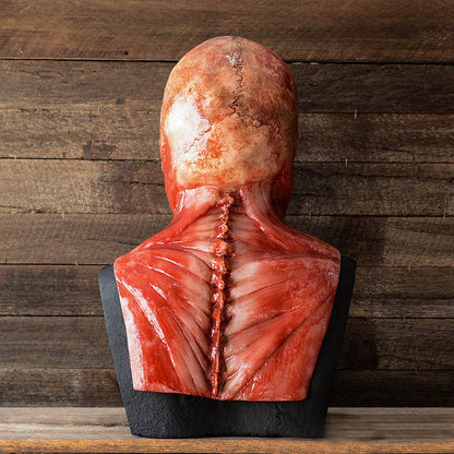 Halloween Latex Skelett Maske – Gruselige Dekoration & Kostüm für Erwachsene